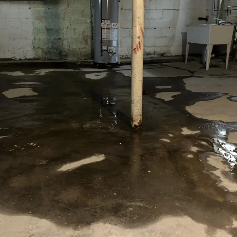 Emergency Water Extraction And Removal in Wainaku, HI